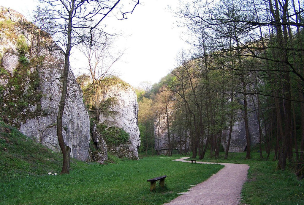 Dolina mnikowska - Jura